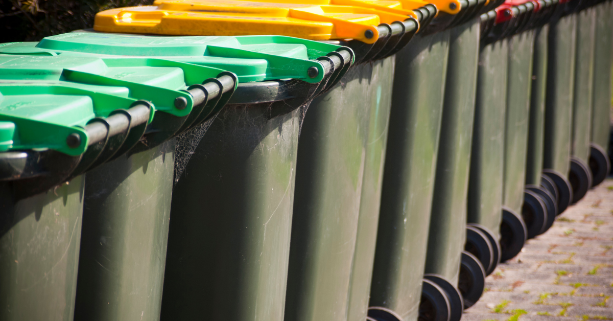 Wheelie Bin - Lizzie Kean