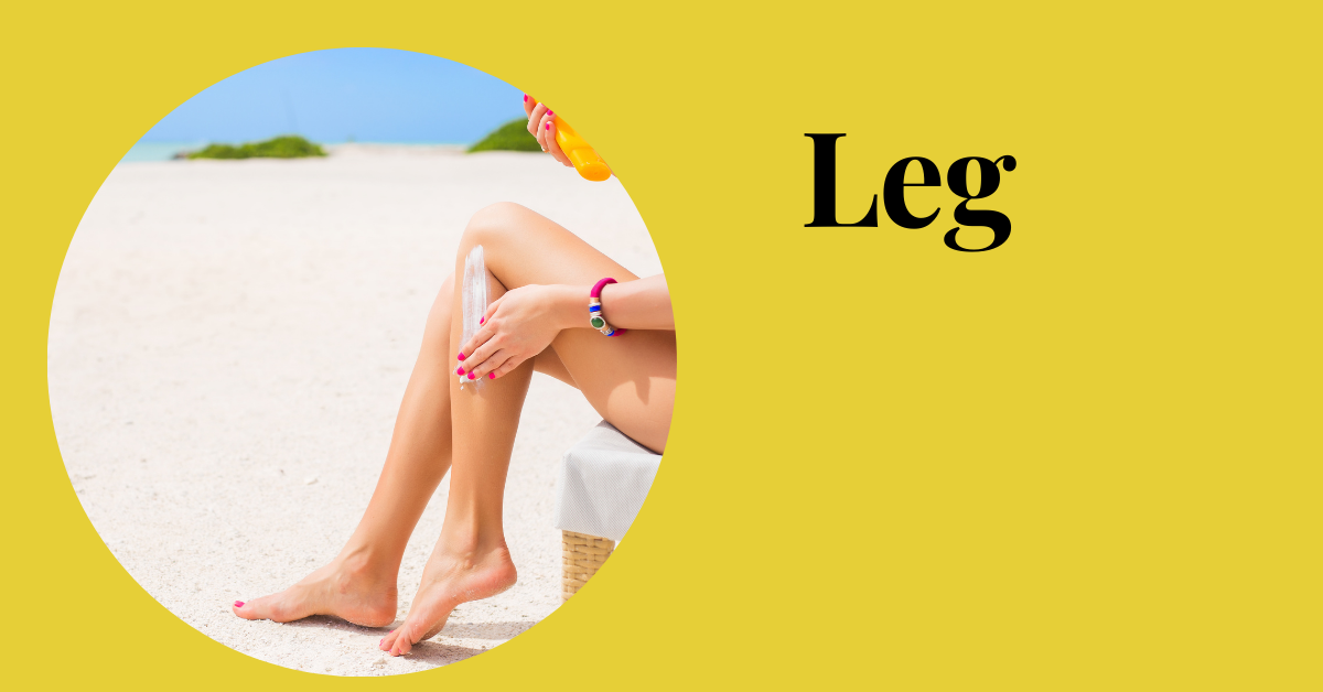 Leg