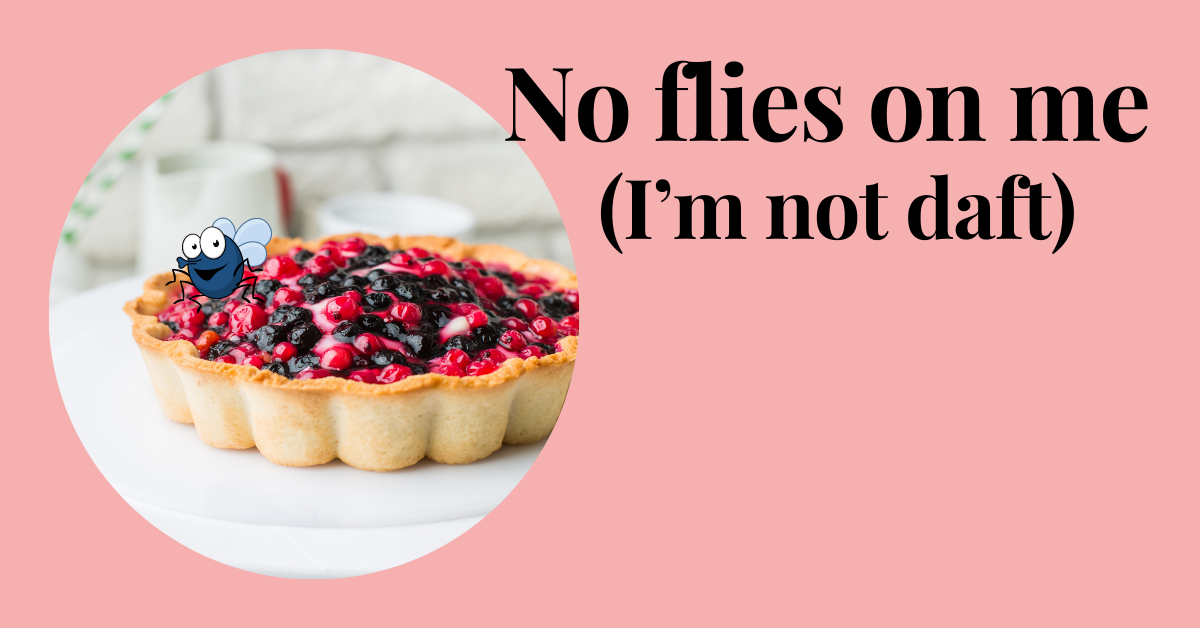A Fly on the cake