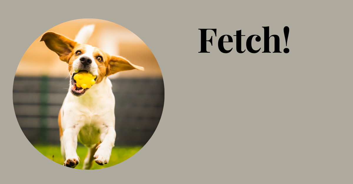 Fetch!